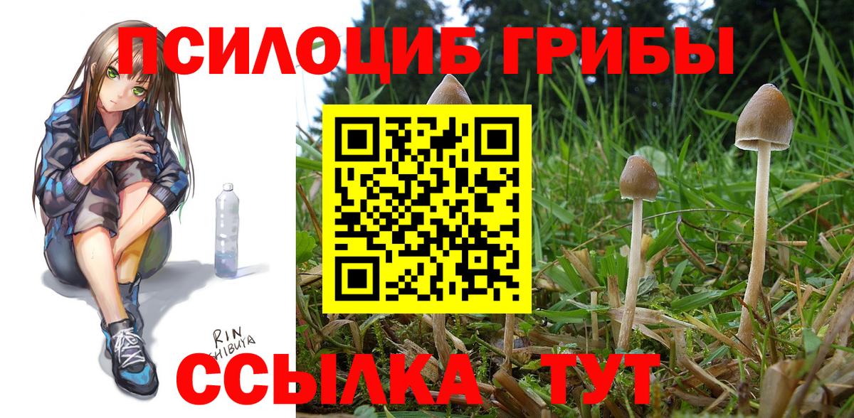 Галлюциногенные грибы Magic Shrooms Бугуруслан