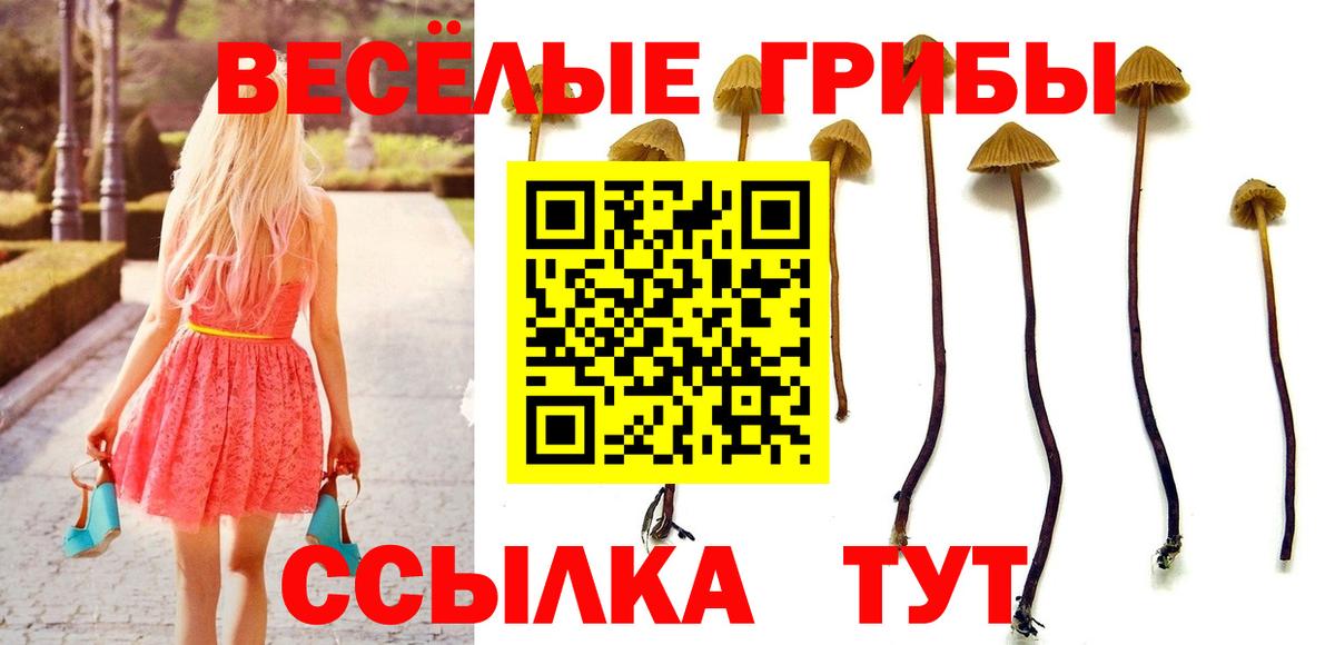 Галлюциногенные грибы мицелий  дарнет шоп  Бугуруслан  Вход с VPN 